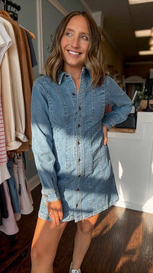 Bloomfield Denim Dress